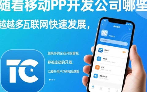 国内知名app开发公司众多，哪家技术实力最强，如何选择？