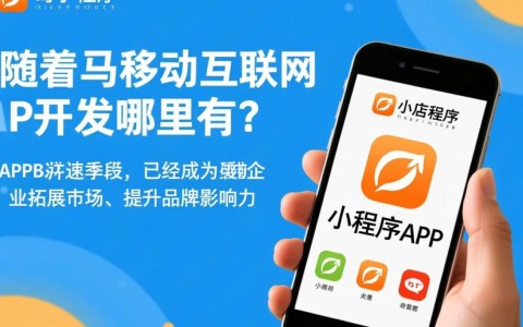 驻马店小程序APP开发，哪家机构服务更专业？性价比更高？