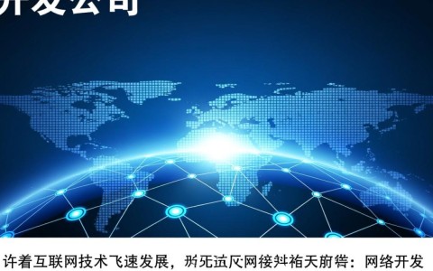 网络开发公司为何陷入困境？业绩下滑、转型挑战重重，未来路在何方？