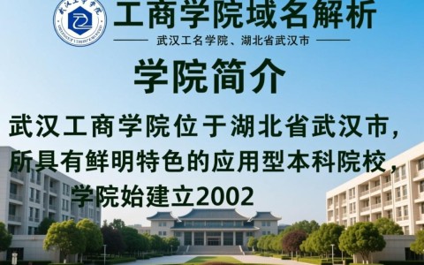 武汉工商学院域名是哪几个字？揭秘该校官方网站地址之谜！