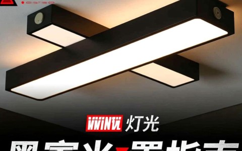 黑寡妇灯光配置为何如此独特？揭秘其背后神秘设计原理！