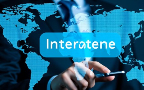 如何快速准确查询并确认域名的备案号信息？