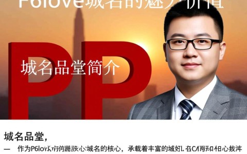 p6love域名品堂，这个独特域名背后的故事和价值是什么？