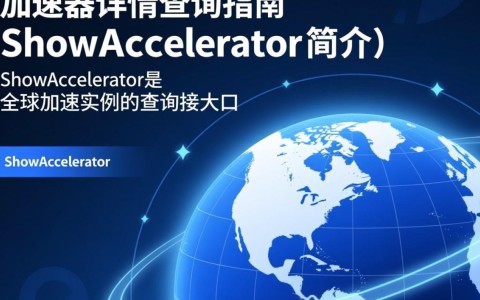 ShowAccelerator，全球加速器详情、实例与API，有哪些疑问待解？