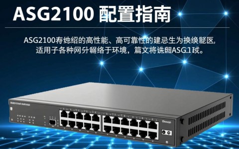 Asg2100配置疑问，详细参数、最佳搭配及使用技巧揭秘？