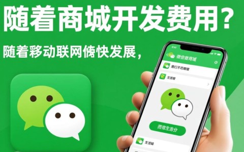 微信微商城开发需要支付多少费用？费用构成及预算如何估算？