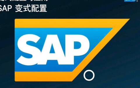 SAP变式配置中，有哪些关键点需要注意和探讨？