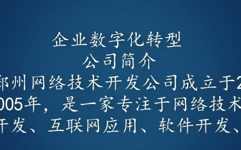 郑州网络技术开发公司，哪家在行业口碑和技术实力上更胜一筹？