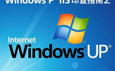 Windows XP IIS配置中常见问题有哪些？解决方法大揭秘！