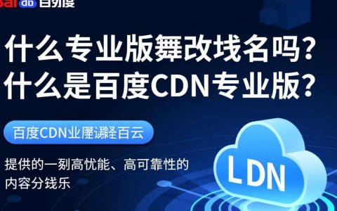 百度CDN专业版域名修改限制及操作指南详解？