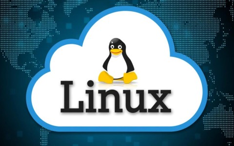 如何购买及登录Linux弹性云服务器？教学视频和云主机登录方法详解？