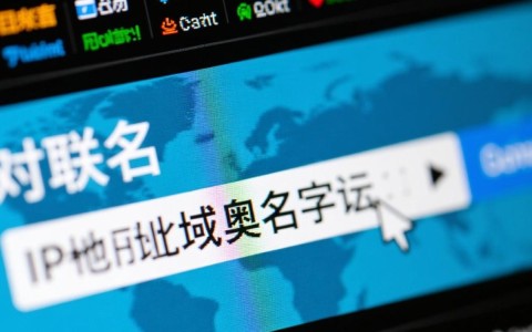 有了域名后，具体应该如何操作才能正确使用？