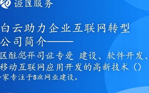 白云区网站开发公司哪家强？如何选择性价比高的服务？