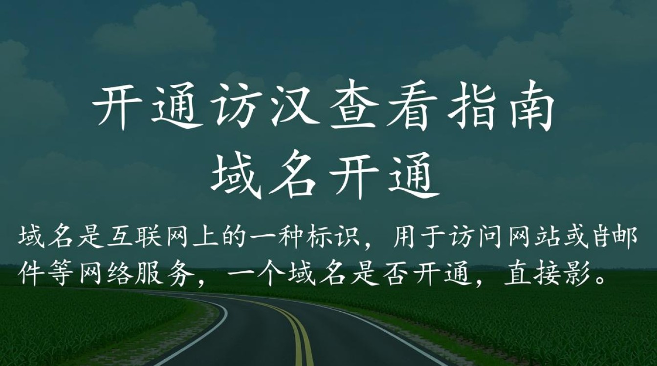 如何判断一个域名是否已成功开通服务？快速检测域名开通状态攻略！