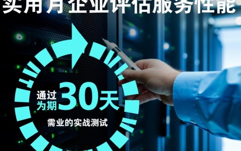 服务器试用1月，配置够用吗？性能达标吗？