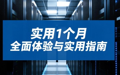 服务器试用1个月，够不够测试性能和稳定性？