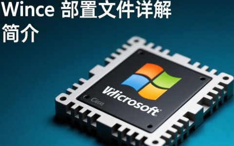 Wince配置文件如何正确设置与优化？