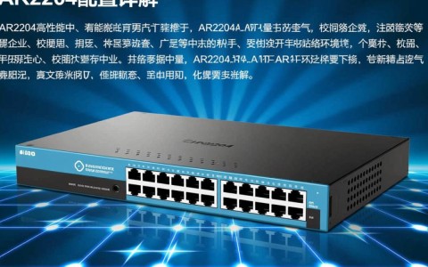 ar2204配置详情解析，有哪些关键功能和性能特点？