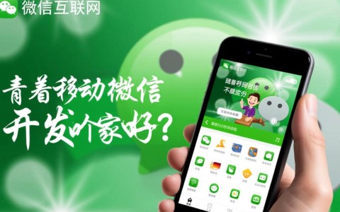 青岛市微信开发行业哪家强？如何挑选优质服务商？
