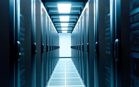 租个服务器，是选择共享还是独立？性价比与稳定性如何权衡？