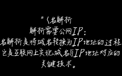 域名解析为何必须依赖公网IP？背后原理及必要性详解？