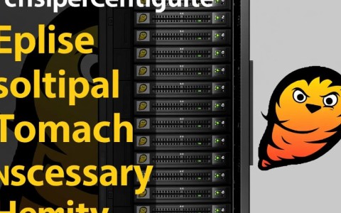 MyEclipse如何正确配置多个Tomcat实例，实现高效并行开发？