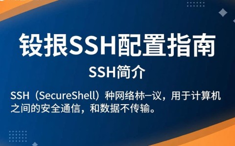 锐捷SSH配置为何如此复杂？新手入门常见问题解答汇总