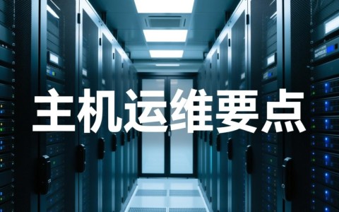主机服务器选购时如何判断性价比与稳定性，避免入坑？