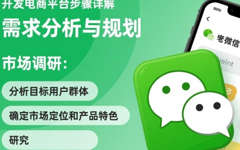微信开发电商平台，具体步骤详解是哪些关键环节？