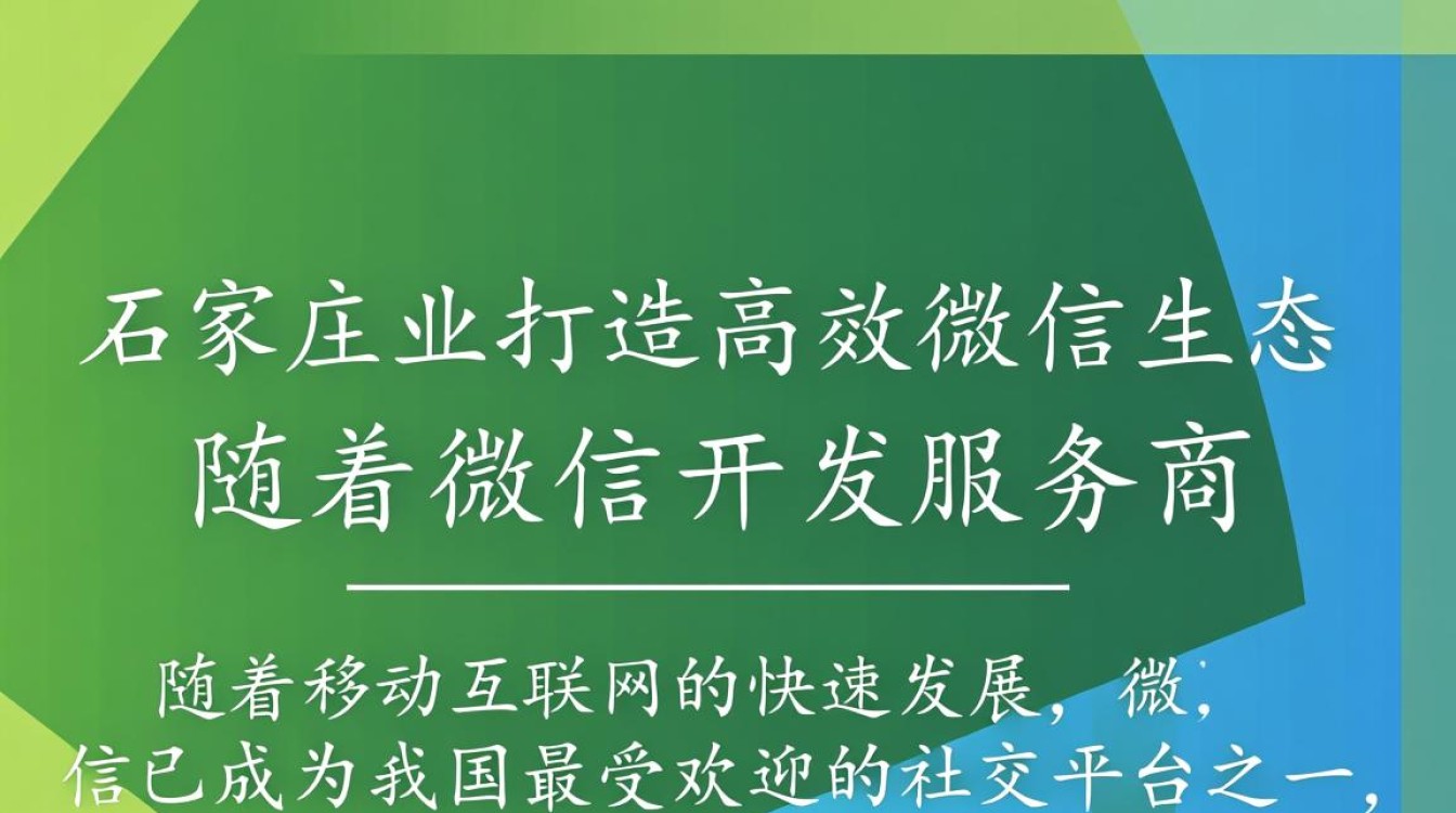 石家庄微信开发服务商哪家服务更专业，性价比更高？揭秘本地优质选择！