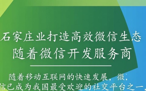 石家庄微信开发服务商哪家服务更专业，性价比更高？揭秘本地优质选择！