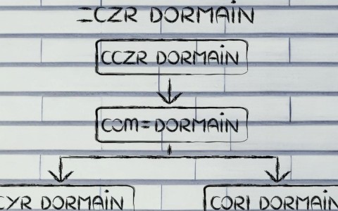 二级域名设置的关键步骤和潜在问题有哪些？