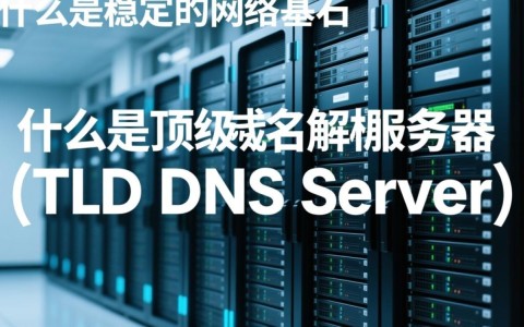 顶级域名解析服务器，究竟如何高效稳定运行？