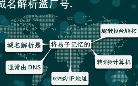 域名解析为何必须附带端口号？解析端口号的必要性解析？