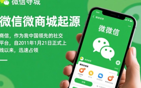 微信微商城从何时期开始开发？背后有何初衷与战略考量？