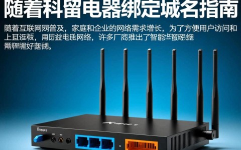 磊科路由器绑定域名时遇到问题？30秒内破解教程揭秘！