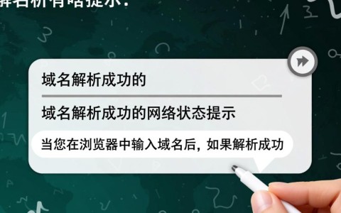 域名解析成功后，系统究竟会给出哪些具体提示信息？