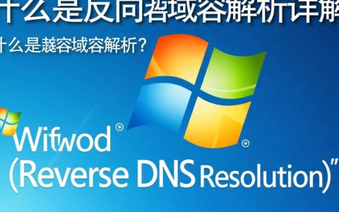 win7系统如何实现反向域名解析的正确设置步骤？