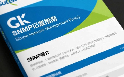 锐捷SNMP配置过程中，哪些关键步骤容易出错？如何优化配置效率？