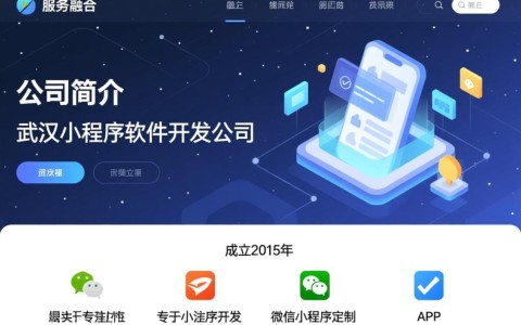 武汉小程序软件开发公司，如何选择专业可靠的服务商？