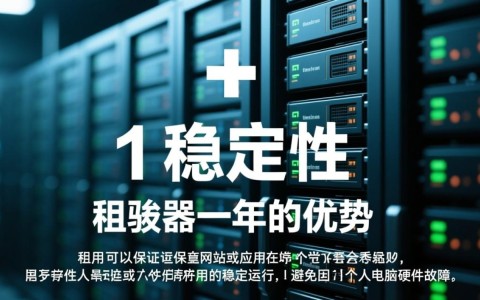 租服务器一年，性价比高吗？适合个人还是企业使用？有何注意事项？