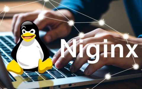 Linux下Nginx配置域名时，哪些步骤和细节容易出现问题？