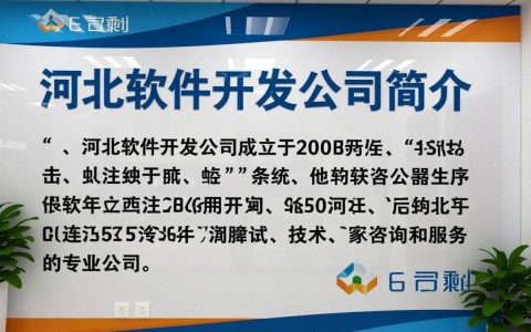 河北软件开发公司简介，有哪些独特优势与成功案例？