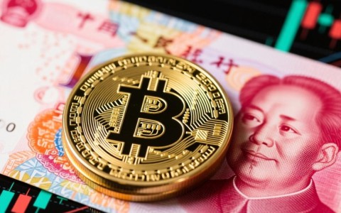 CDN货币与人民币汇率，两者对比分析，存在哪些显著差异与影响？