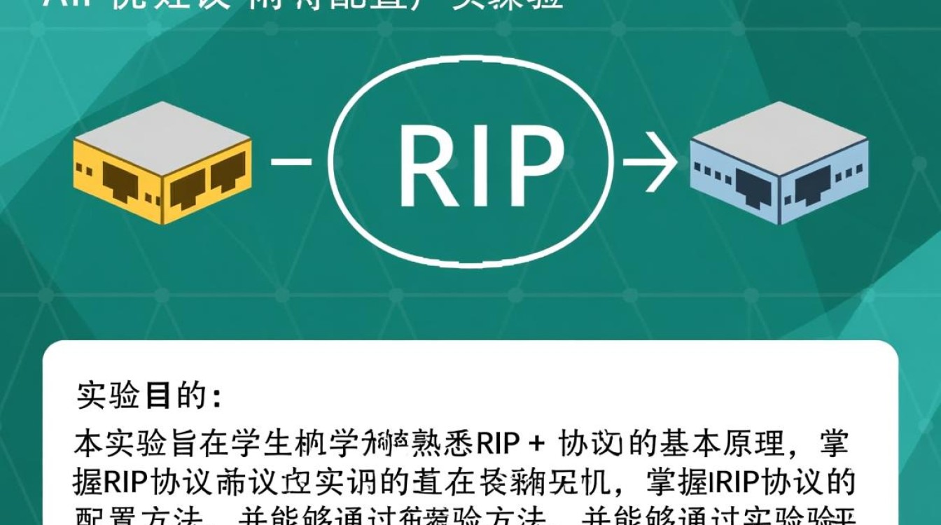 RIP协议配置实验中，如何确保网络路由信息稳定高效传输？