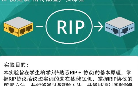 RIP协议配置实验中，如何确保网络路由信息稳定高效传输？