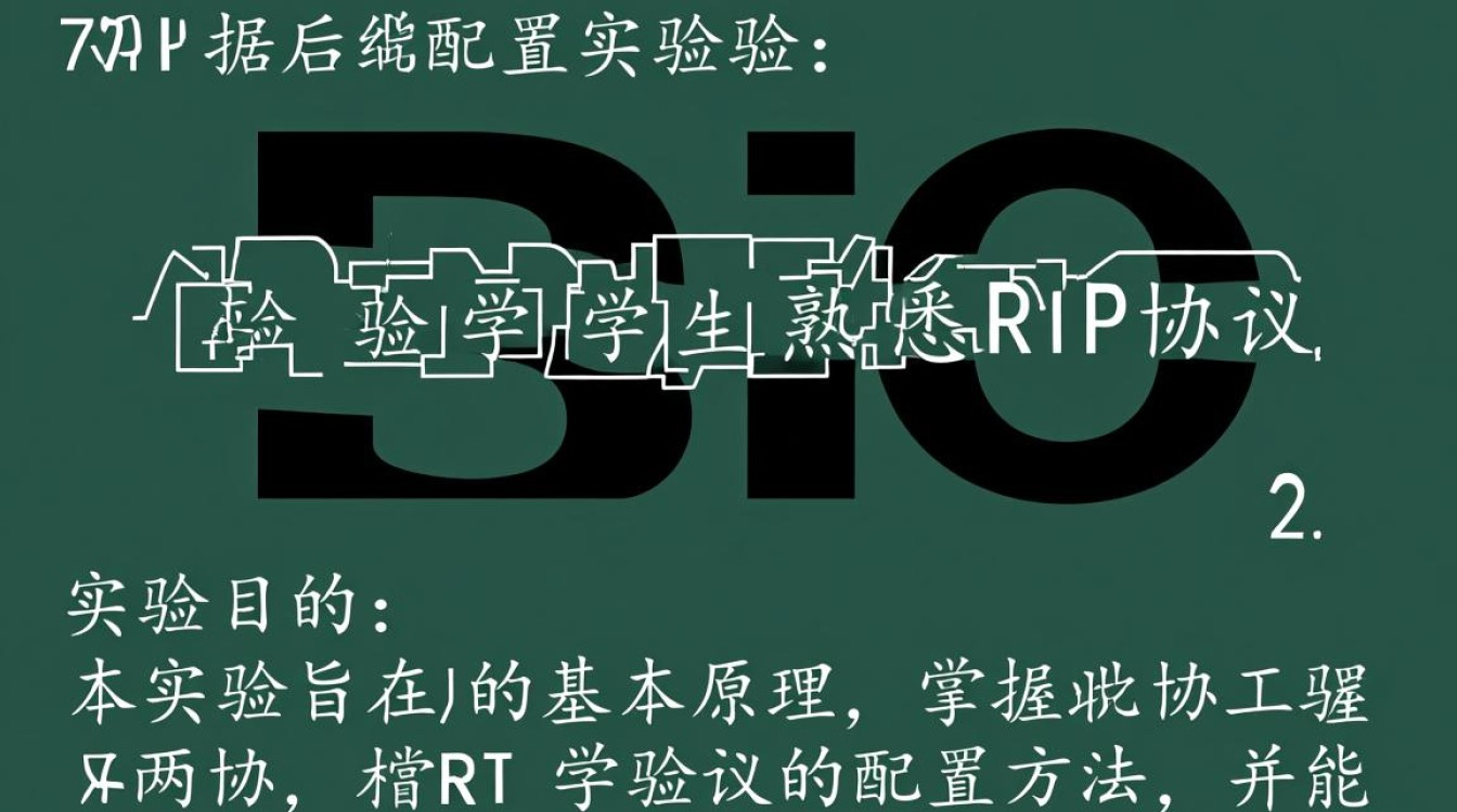 RIP协议配置实验中，如何确保网络路由信息稳定高效传输？