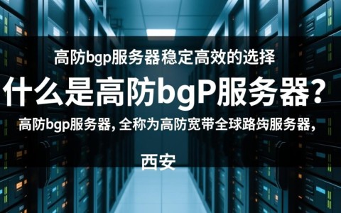 西安高防bgp服务器，为何成为企业网络首选？揭秘其优势与配置细节？