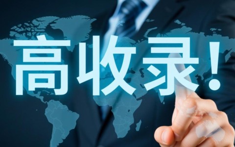 高收录域名究竟有何价值？是否真的值得投资？