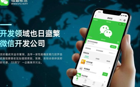 如何挑选性能稳定的微信开发公司？这30家或许值得一看！